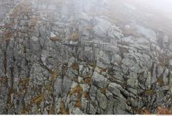 Photo Textures of Mixed Rocks